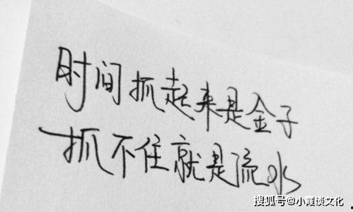 娱乐吃瓜酱经典语录短句